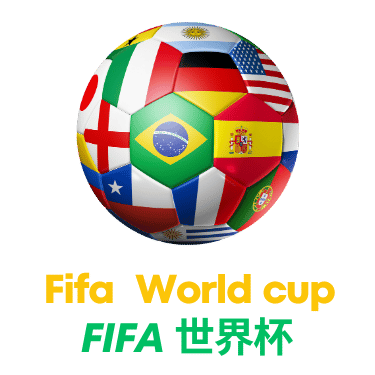 国米中场引援策略解析